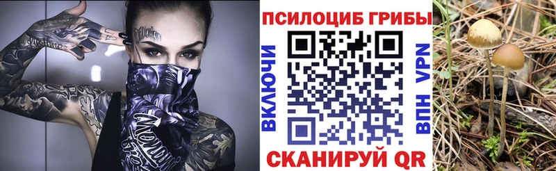 купить закладку  Калязин  ссылка на мегу ТОР  Галлюциногенные грибы ЛСД 