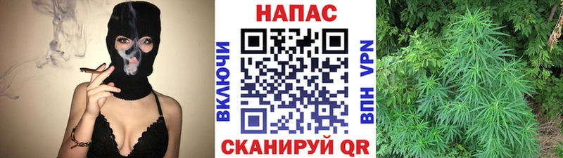 Конопля Amnesia  Калязин 